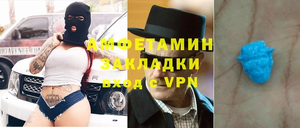 гидра Рославль