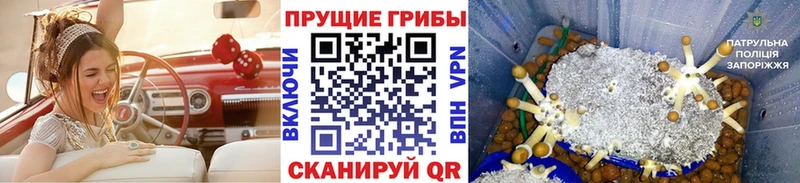 Галлюциногенные грибы мицелий  магазин  наркотиков  Кириши 